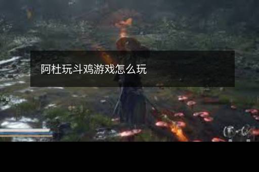 阿杜玩斗鸡游戏怎么玩